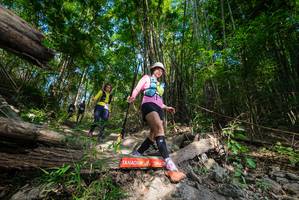 BIB: 
                            <button type="button" onclick="openModal(19388049)" class="btn btn-primary btn-sm float-right btn-popup" data-toggle="modal" data-target=".modal-high-quality">
                        <i class="fas fa-shopping-cart"></i> Add to Cart
                    </button>
                                            <button type="button" onclick="isThisMe(19388049, true)" class="btn btn-success btn-sm float-right btn-popup btn-isme hidden" data-toggle="tooltip" data-placement="bottom" title="นี่คือรูปของคุณใช่ไหม คลิกที่นี่เพื่อเอาเข้าอัลบั้ม">
                        <i class="fas fa-plus"></i> Add to album
                    </button>
                    <button type="button" onclick="isThisMe(19388049, false)" class="btn btn-warning btn-sm float-right btn-popup btn-isnotme hidden">
                        <i class="fas fa-ban"></i> Remove from album
                    </button>